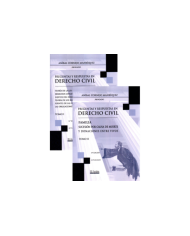 PREGUNTAS Y RESPUESTAS EN DERECHO CIVIL