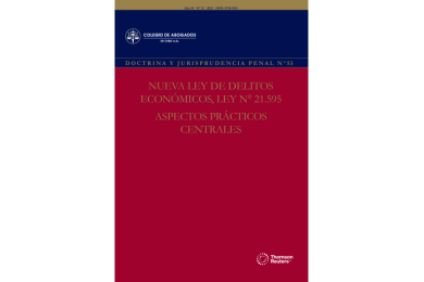 REVISTA DOCTRINA Y JURISPRUDENCIA PENAL Nº53 - NUEVA LEY DE  DELITOS ECONÓMICOS,  LEY N° 21.595. ASPECTOS PRÁCTICOS CENTRALES
