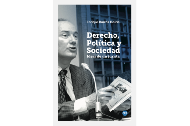 DERECHO, POLÍTICA Y SOCIEDAD - IDEAS DE UN JURISTA