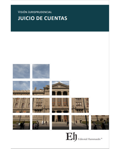 VISIÓN JURISPRUDENCIAL JUICIO DE CUENTAS