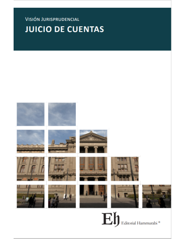 VISIÓN JURISPRUDENCIAL JUICIO DE CUENTAS