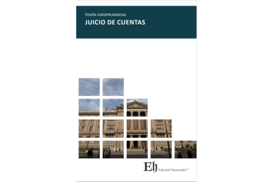 VISIÓN JURISPRUDENCIAL JUICIO DE CUENTAS