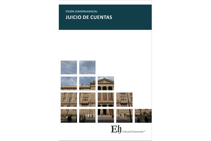 VISIÓN JURISPRUDENCIAL JUICIO DE CUENTAS