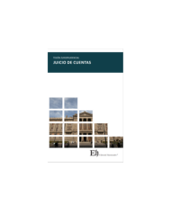 VISIÓN JURISPRUDENCIAL JUICIO DE CUENTAS