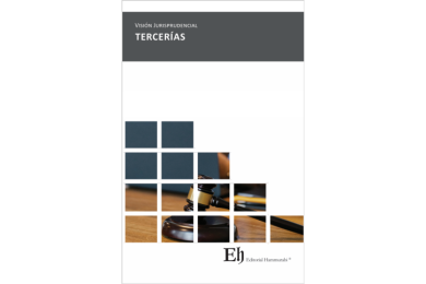 VISIÓN JURISPRUDENCIAL TERCERÍAS
