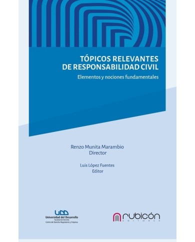 TÓPICOS RELEVANTES DE RESPONSABILIDAD CIVIL - ELEMENTOS Y NOCIONES FUNDAMENTALES.