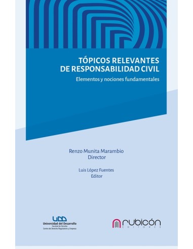 TÓPICOS RELEVANTES DE RESPONSABILIDAD CIVIL - ELEMENTOS Y NOCIONES FUNDAMENTALES.