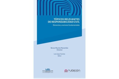 TÓPICOS RELEVANTES DE RESPONSABILIDAD CIVIL - ELEMENTOS Y NOCIONES FUNDAMENTALES