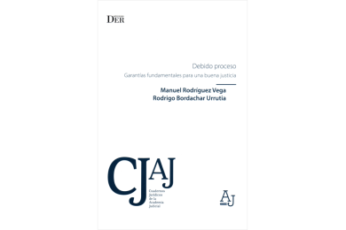 DEBIDO PROCESO - GARANTÍAS FUNDAMENTALES PARA UNA BUENA JUSTICIA
