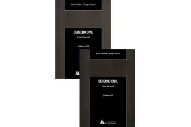DERECHO CIVIL - PARTE GENERAL - VOLÚMENES II Y III