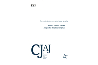 CUMPLIMIENTO EN MATERIA DE FAMILIA