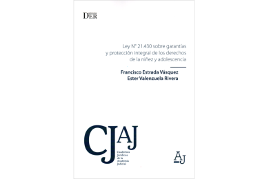 LEY N° 21.430 SOBRE GARANTÍAS Y PROTECCIÓN INTEGRAL DE LOS DERECHOS DE LA NIÑEZ Y ADOLESCENCIA