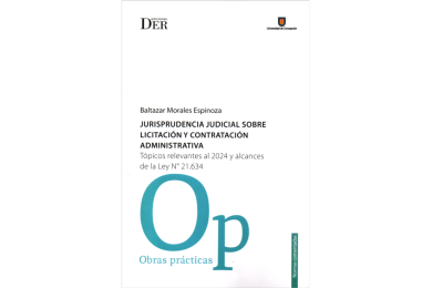 JURISPRUDENCIA JUDICIAL SOBRE LICITACIÓN Y CONTRATACIÓN ADMINISTRATIVA - TÓPICOS RELEVANTES AL 2024 Y ALCANCES DE LEY N° 21.634