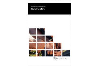 VISIÓN JURISPRUDENCIAL HOMICIDIOS