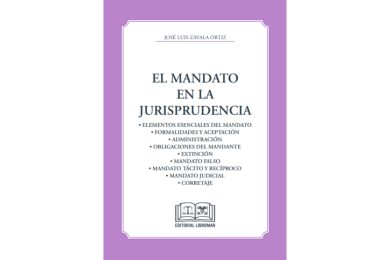 EL MANDATO EN LA JURISPRUDENCIA