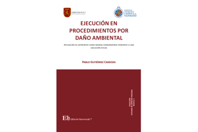 EJECUCIÓN EN PROCEDIMIENTOS POR DAÑO AMBIENTAL