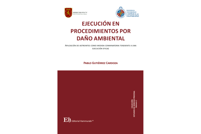 EJECUCIÓN EN PROCEDIMIENTOS POR DAÑO AMBIENTAL