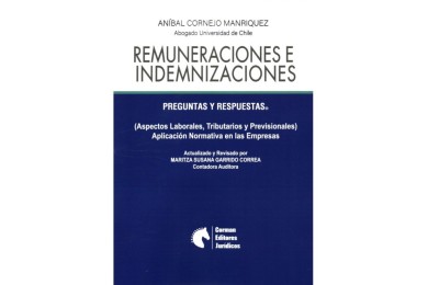 REMUNERACIONES E INDEMNIZACIONES - PREGUNTAS Y RESPUESTAS (ASPECTOS LABORALES, TRIBUTARIOS Y PREVISIONALES)