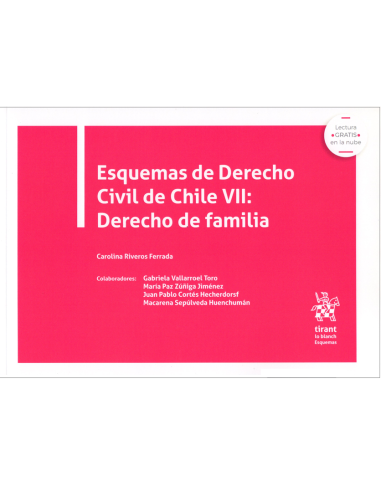 ESQUEMAS DE DERECHO CIVIL DE CHILE VII: DERECHO DE FAMILIA (1ª Edición)