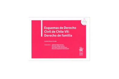 ESQUEMAS DE DERECHO CIVIL DE CHILE VII: DERECHO DE FAMILIA (1ª Edición)