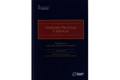 DERECHO PROCESAL Y JUSTICIA - HOMENAJE A CRISTIÁN MATURANA MIQUEL