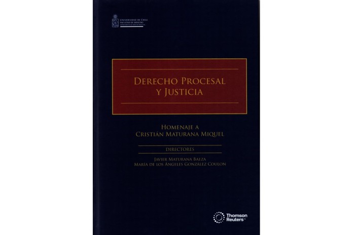 DERECHO PROCESAL Y JUSTICIA - HOMENAJE A CRISTIÁN MATURANA MIQUEL