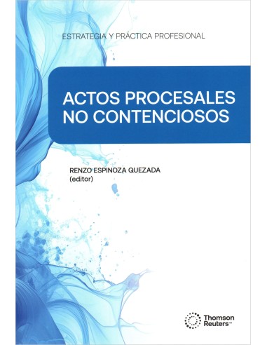 ESTRATEGIA Y PRÁCTICA PROFESIONAL ACTOS PROCESALES NO CONTENCIOSOS