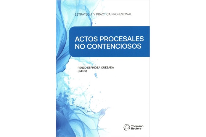 ESTRATEGIA Y PRÁCTICA PROFESIONAL ACTOS PROCESALES NO CONTENCIOSOS