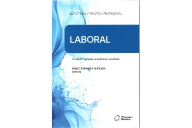 ESTRATEGIA Y PRÁCTICA PROFESIONAL LABORAL