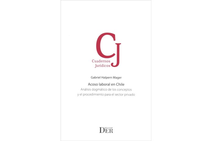 ACOSO LABORAL EN CHILE - ANÁLISIS DOGMÁTICO DE LOS CONCEPTOS Y EL PROCEDIMIENTO PARA EL SECTOR PRIVADO