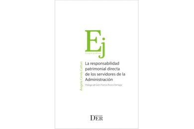 LA RESPONSABILIDAD PATRIMONIAL DIRECTA DE LOS SERVIDORES DE LA ADMINISTRACIÓN