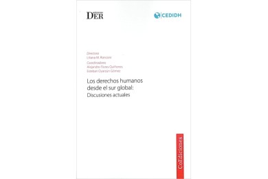 LOS DERECHOS HUMANOS DESDE EL SUR GLOBAL: DISCUSIONES ACTUALES