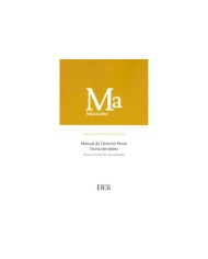 MANUAL DE DERECHO PENAL - TEORÍA DEL DELITO