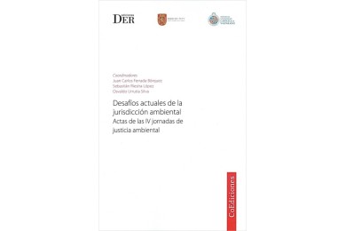 DESAFÍOS ACTUALES DE LA JURISDICCIÓN AMBIENTAL - ACTAS DE LAS IV JORNADAS DE JUSTICIA AMBIENTAL