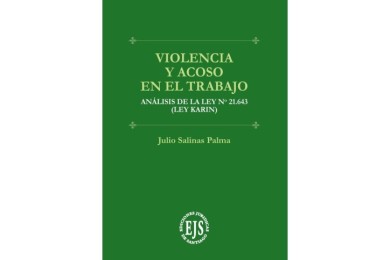 VIOLENCIA Y ACOSO EN EL TRABAJO - ANÁLISIS DE LA LEY N° 21.643 (LEY KARIN)