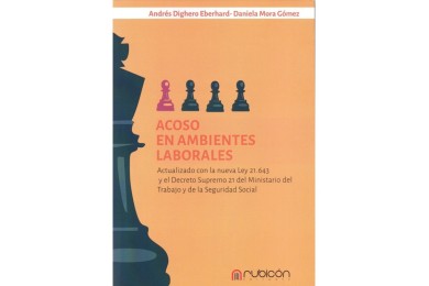 ACOSO EN AMBIENTES LABORALES - ACTUALIZADO CON LA NUEVA LEY 21.643