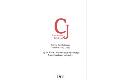 LEY DE PROTECCIÓN DE DATOS PERSONALES: ASPECTOS CLAVES Y DESAFÍOS