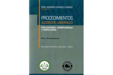 PROCEDIMIENTOS JUZGADOS LABORALES - EXPLICACIONES, FORMULARIOS Y JURISPRUDENCIA