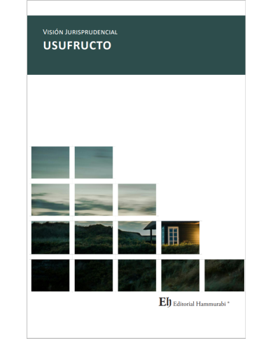 VISIÓN JURISPRUDENCIAL USUFRUCTO VISIÓN JURISPRUDENCIAL USUFRUCTO