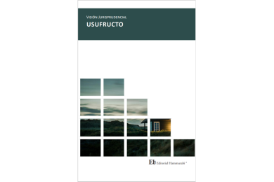 VISIÓN JURISPRUDENCIAL USUFRUCTO