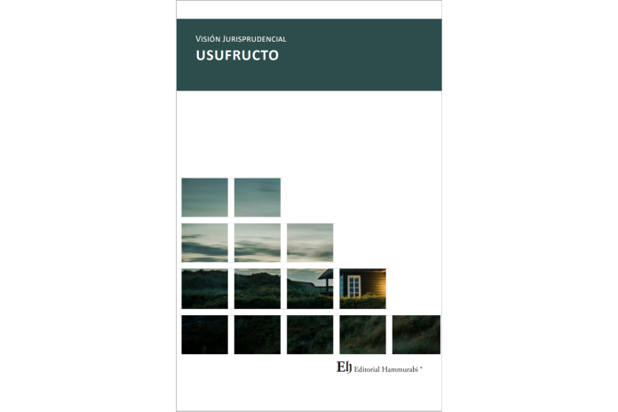 VISIÓN JURISPRUDENCIAL USUFRUCTO