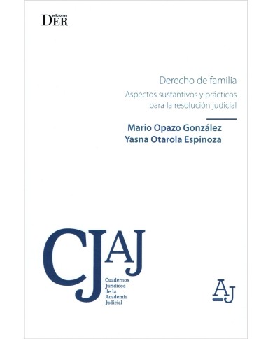 DERECHO DE FAMILIA - ASPECTOS SUSTANTIVOS Y PRÁCTICOS PARA LA RESOLUCIÓN JUDICIAL