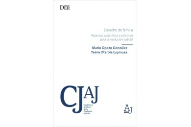 DERECHO DE FAMILIA - ASPECTOS SUSTANTIVOS Y PRÁCTICOS PARA LA RESOLUCIÓN JUDICIAL