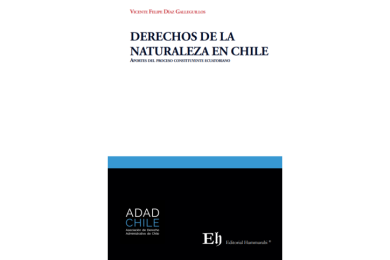 DERECHOS DE LA NATURALEZA EN CHILE - APORTES DEL PROCESO CONSTITUYENTE ECUATORIANO