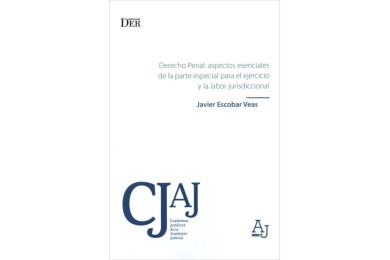 DERECHO PENAL: ASPECTOS ESENCIALES DE LA PARTE ESPECIAL PARA LA LABOR JURISDICCIONAL