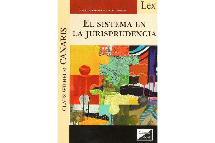 EL SISTEMA EN LA JURISPRUDENCIA
