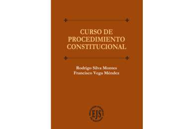 CURSO DE PROCEDIMIENTO CONSTITUCIONAL