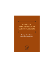 CURSO DE PROCEDIMIENTO CONSTITUCIONAL