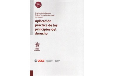 APLICACIÓN PRÁCTICA DE LOS PRINCIPIOS DEL DERECHO