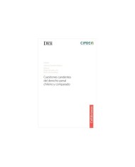 CUESTIONES CANDENTES DEL DERECHO PENAL CHILENO Y COMPARADO